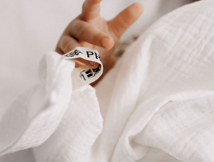 <h2>The Present Company</h2>