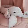 Tier Bettschlange Elefant - The Present Company